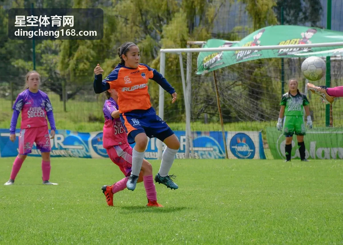 星空体育网数据聚合面板
